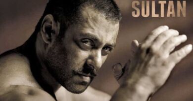Sultan Song Lyrics in Roman Hindi